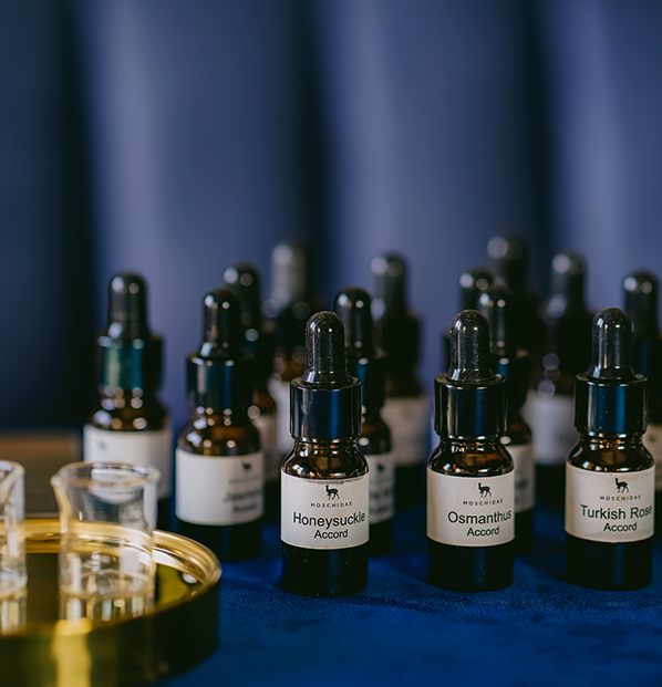 Moschidae - Artisan Perfumery