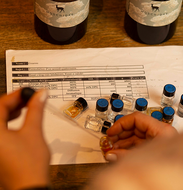 Moschidae - Artisan Perfumery